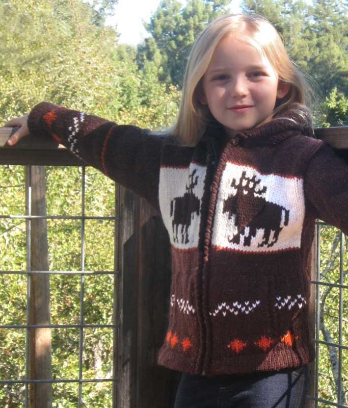Child`s Brown Moose Cardigan